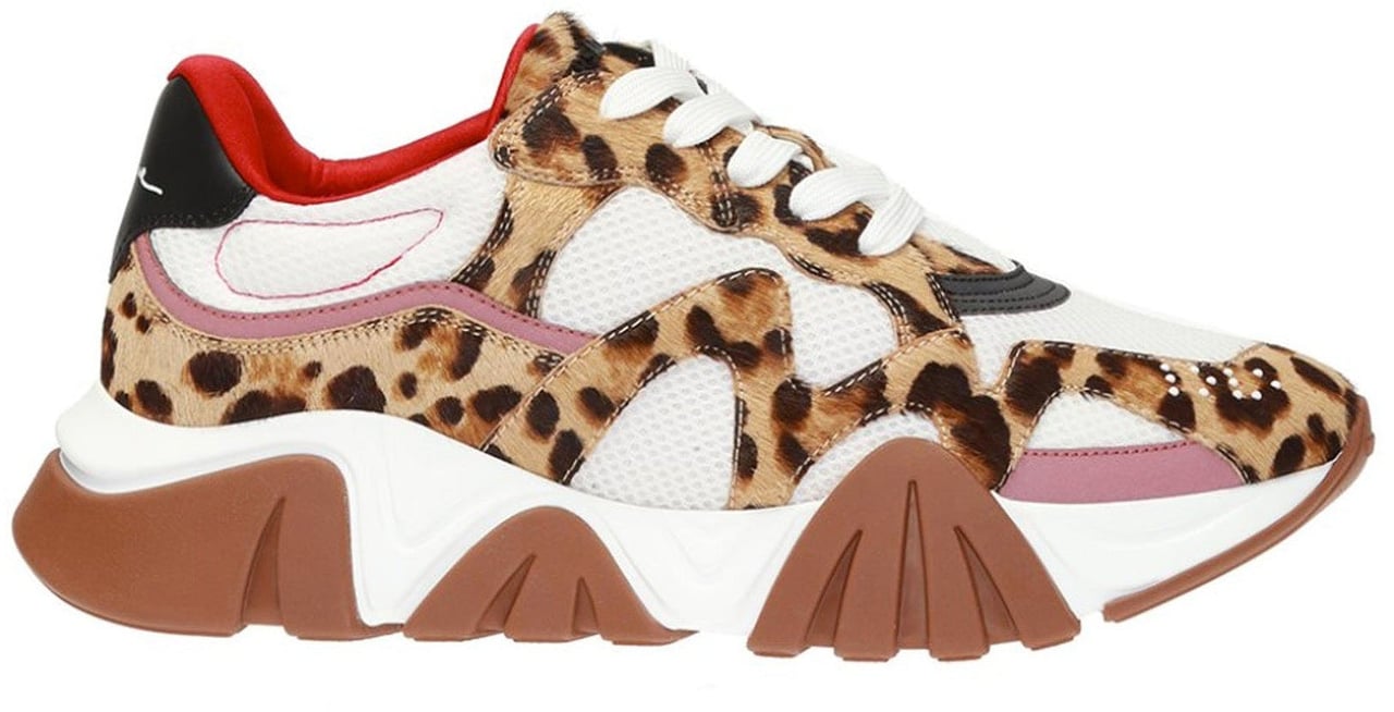 Versace Versace Squalo Leopard Sneakers Beige