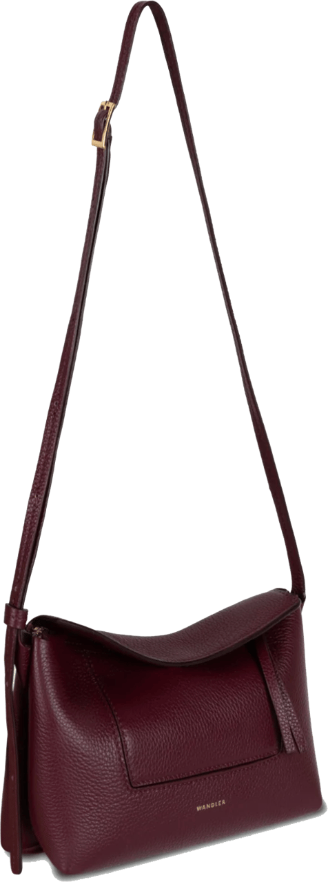 Wandler Penelope Slouch Mini Acai Crust Rood