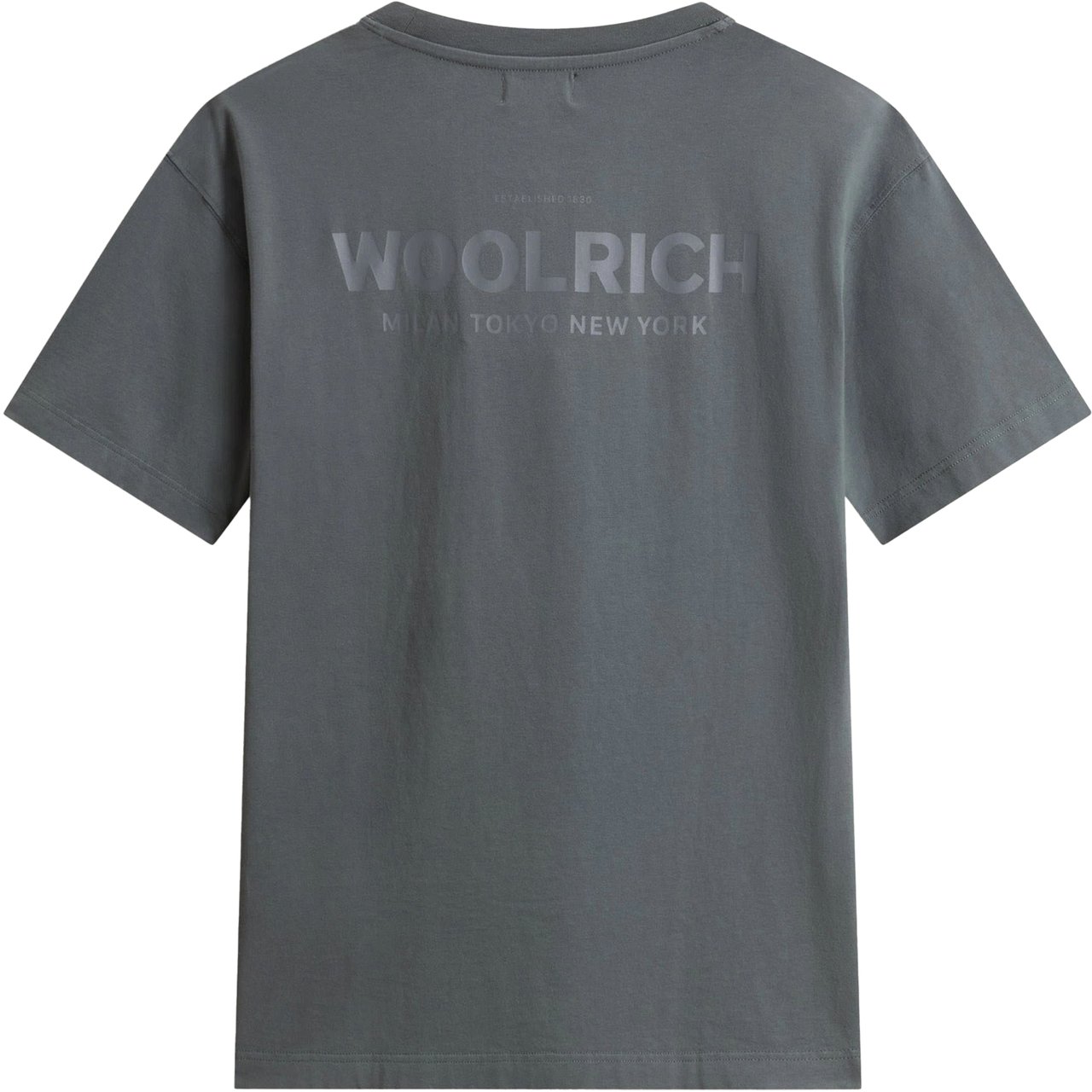 Woolrich Woolrich Cotton Graphic T-shirts Donkergrijs Cfwote2010mrut5334 Grijs