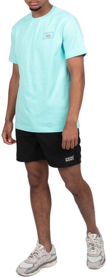 Wrong Friends ALOHA T-SHIRT - LIGHT TURQUOISE Blauw