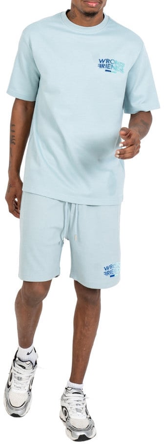 Wrong Friends SIMI VALLEY T-SHIRT - LIGHT BLUE Blauw