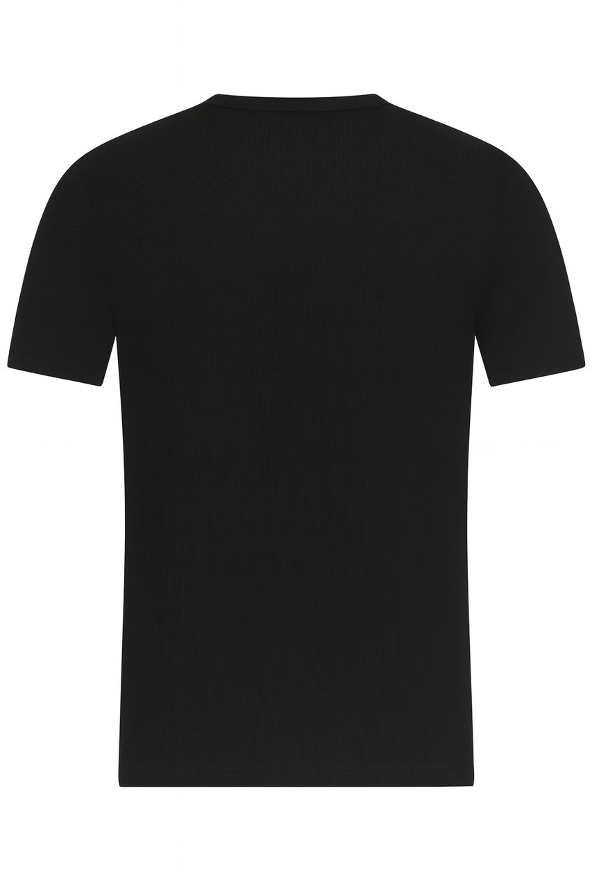 Zegna T-Shirts And Polos Black Zwart
