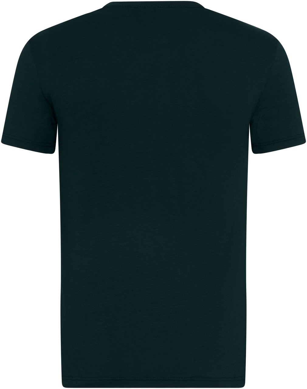 Zegna T-Shirts And Polos Green Groen