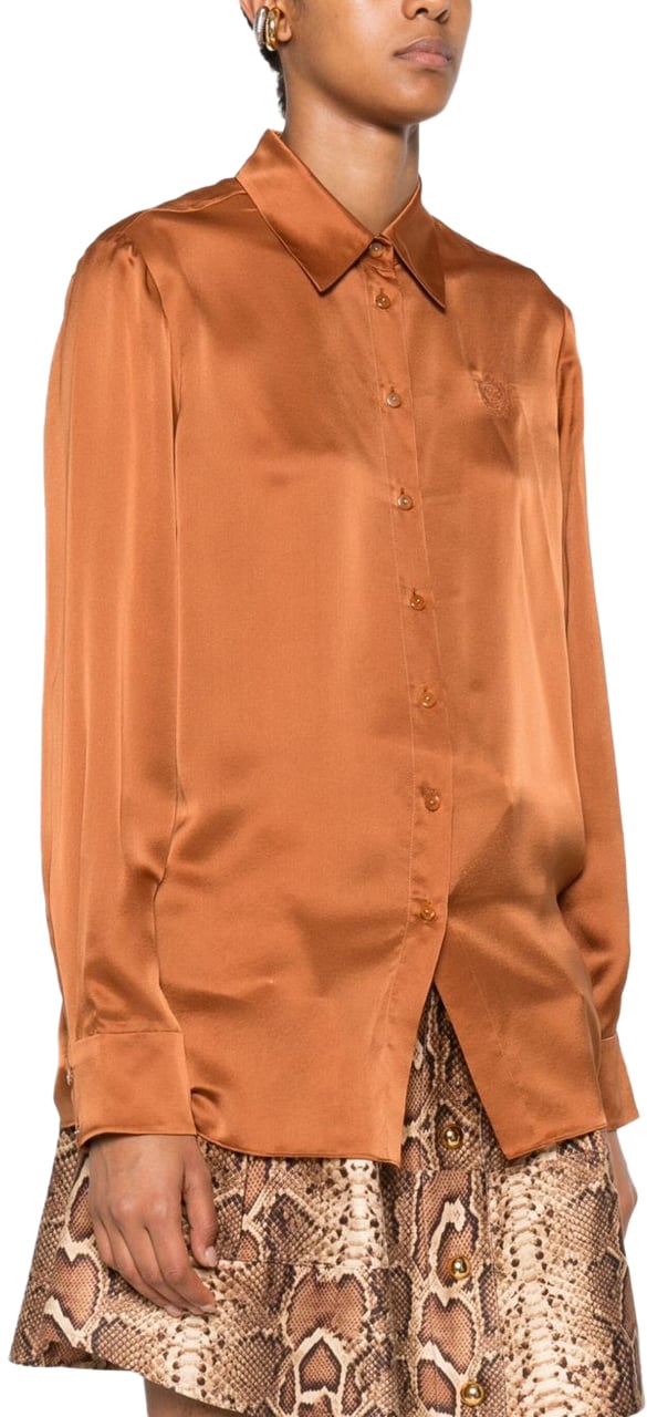 Zimmermann Shirts Brown Bruin