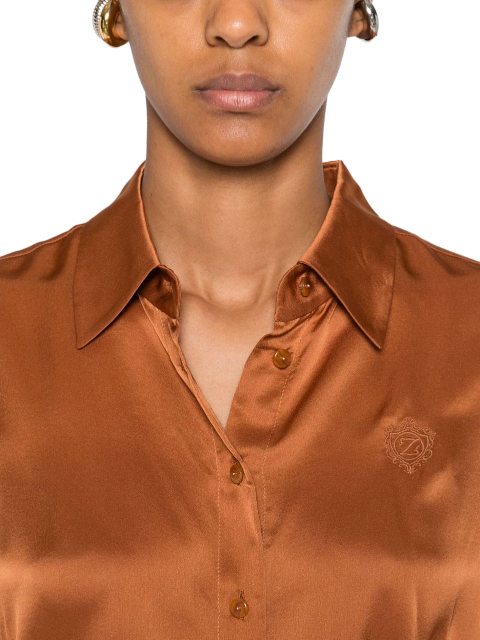 Zimmermann Shirts Brown Bruin