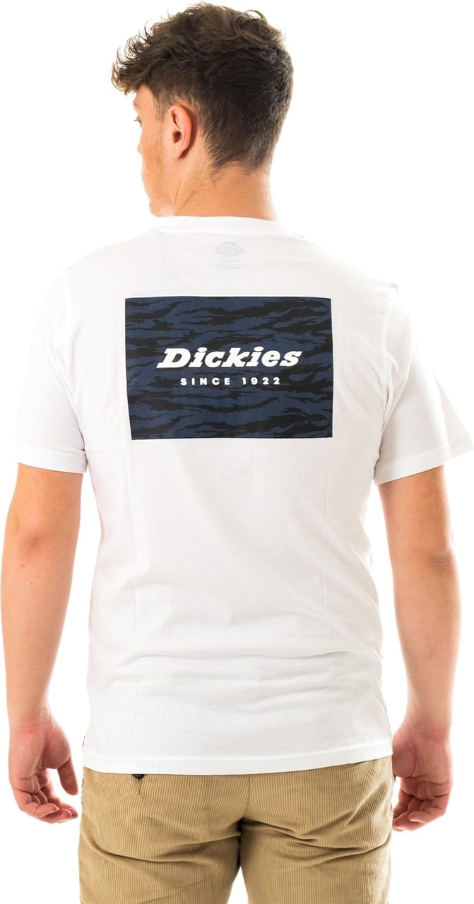 Dickies T-shirt Man Quamba Box Tee Dk0a4x9jwhx Wit