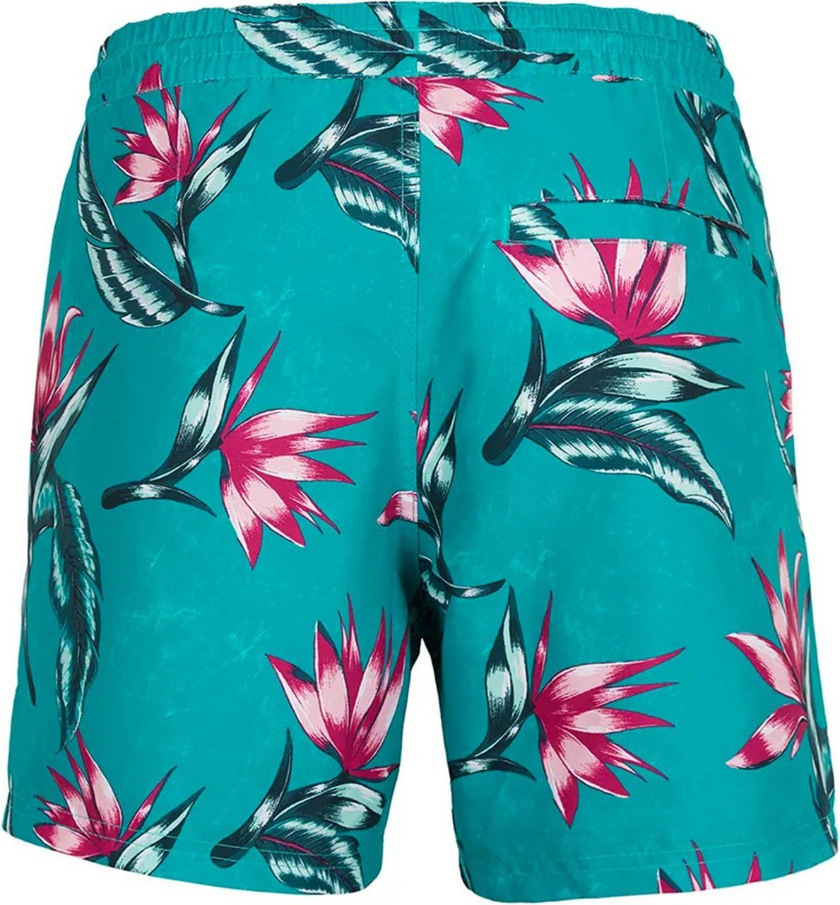 O'neill Swimsuit Man O' Neill Floral Shorts 2800022-35015 Divers
