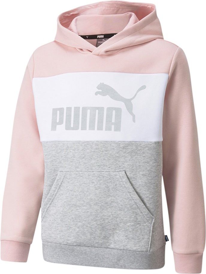 Puma Sweatshirt Kid Ess+ Colorbloc Hood 846128.36 Divers