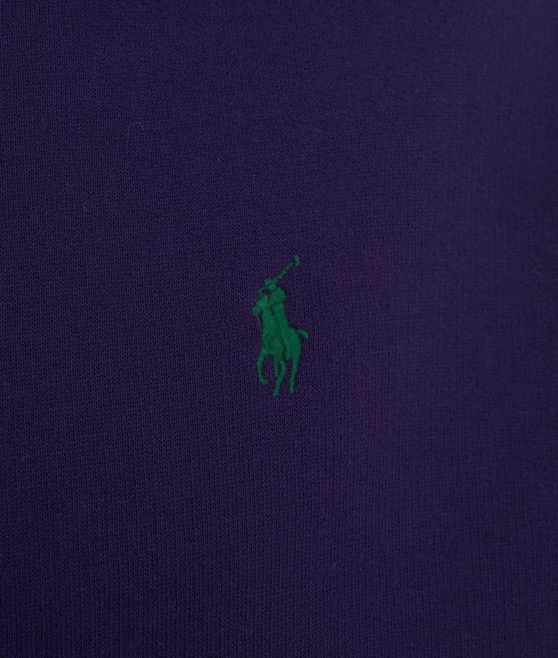 Ralph Lauren Hoodie With Logo Purple Paars