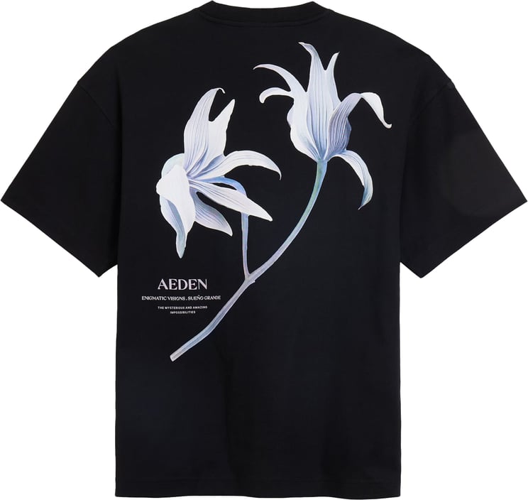 Aeden Misty Tee Black