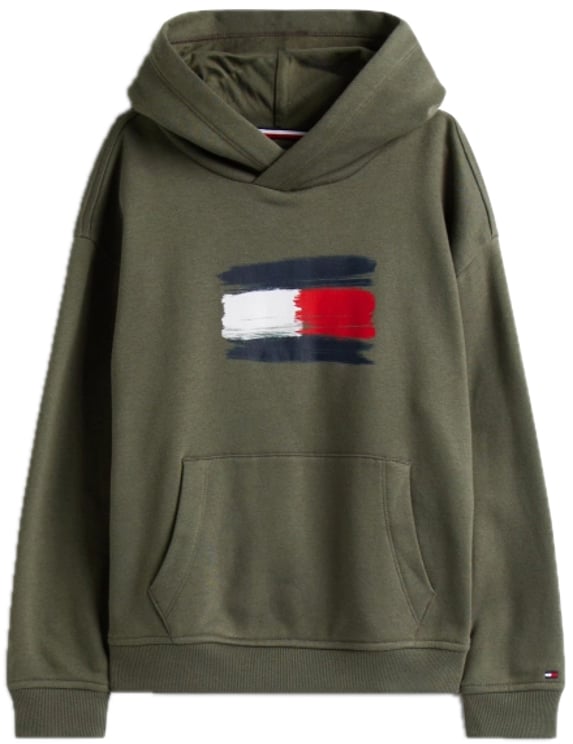 Tommy Hilfiger flag hoodie