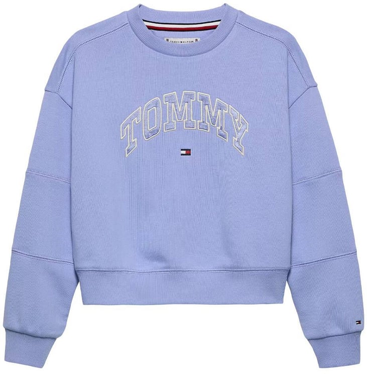 Tommy Hilfiger varsity sweatshirt