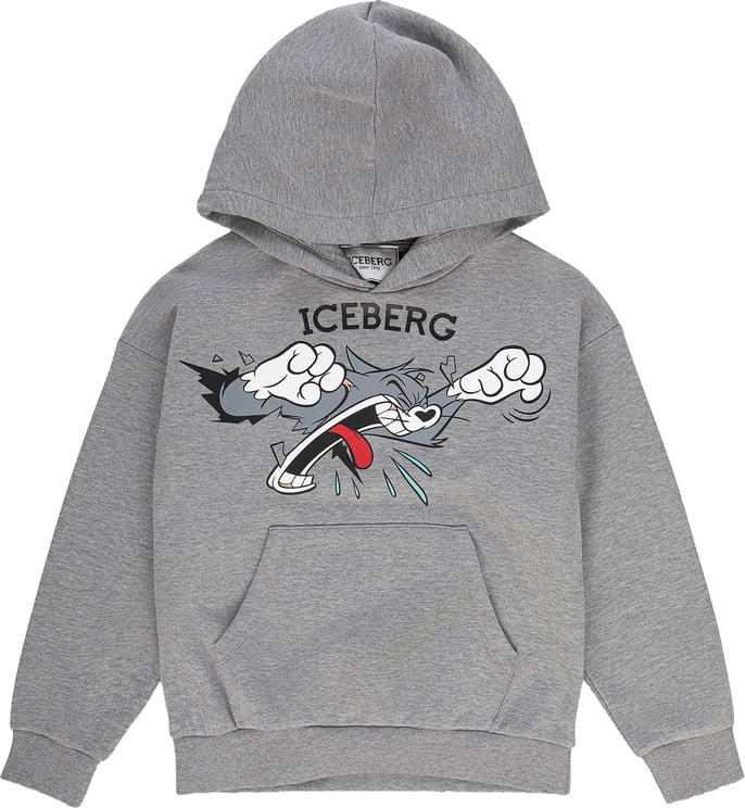Iceberg Hoodie Melange