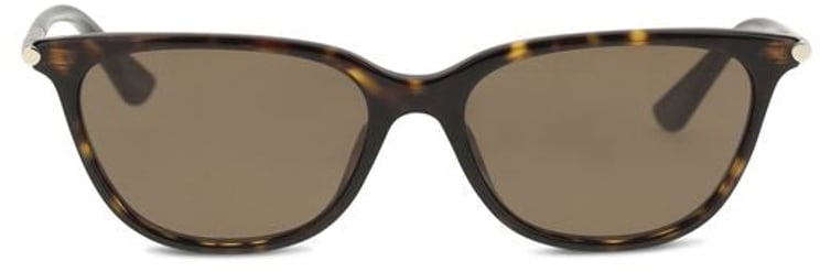 Alexander McQueen Alexander McQueen Brown Acetate Sunglasses