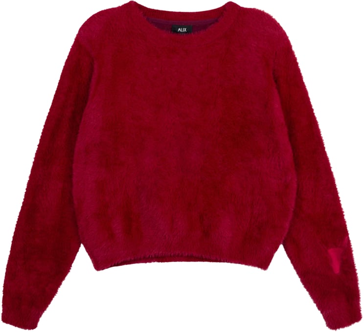Alix The Label Alix The Label  Pullovers Bordeaux 2508861884