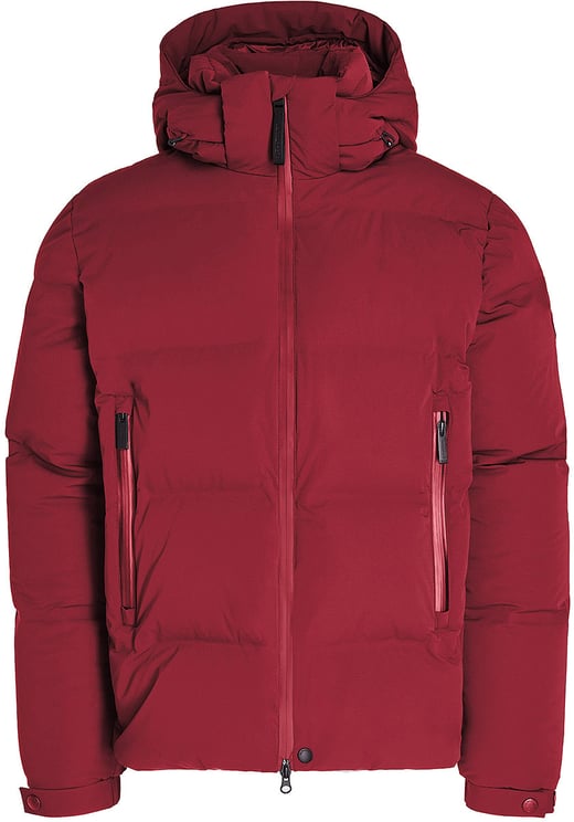 AlphaTauri Coats Dark Berry