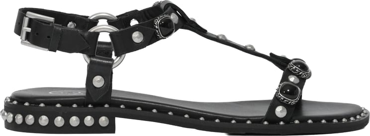 Ash Sandals Nero