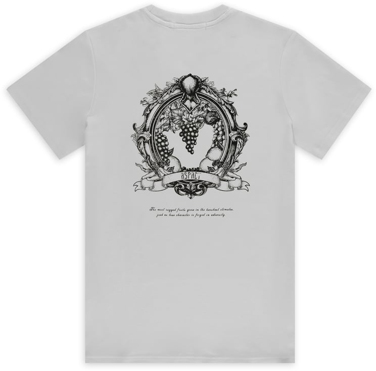 ASPACT Zain Tee Rock