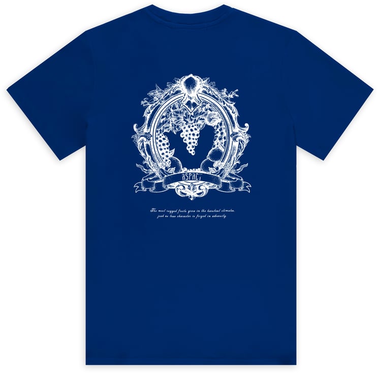 ASPACT Zain Tee Quartz