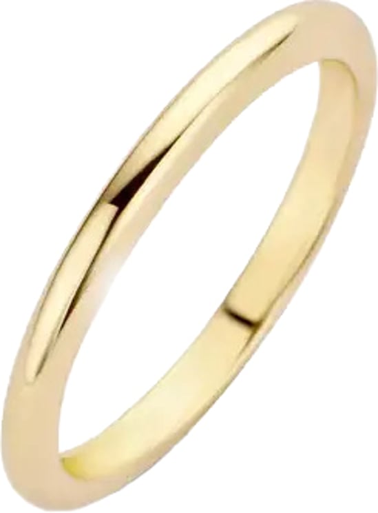 Blush Blush Ring 1117YGO/54 14k Geelgoud Glad Maat 54