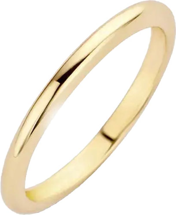 Blush Blush Ring 1117YGO/56 14k Geelgoud Glad Maat 56