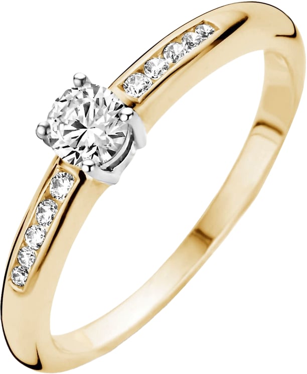 Blush Blush Ring 1155BZI/54 14k Geelgoud met Zirkonia Maat 54