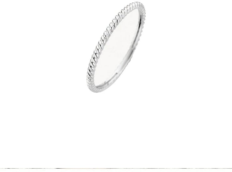 Blush Blush Ring 1196WGO/52 Witgoud Gedraaid 14k Maat 52