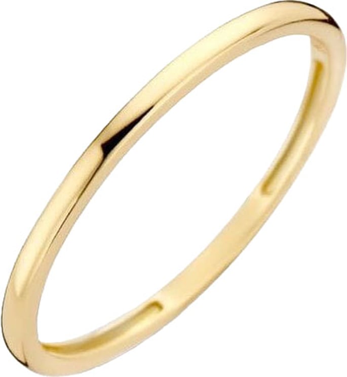 Blush 1197YGO/54 Ring 14 krt geelgoud maat 54