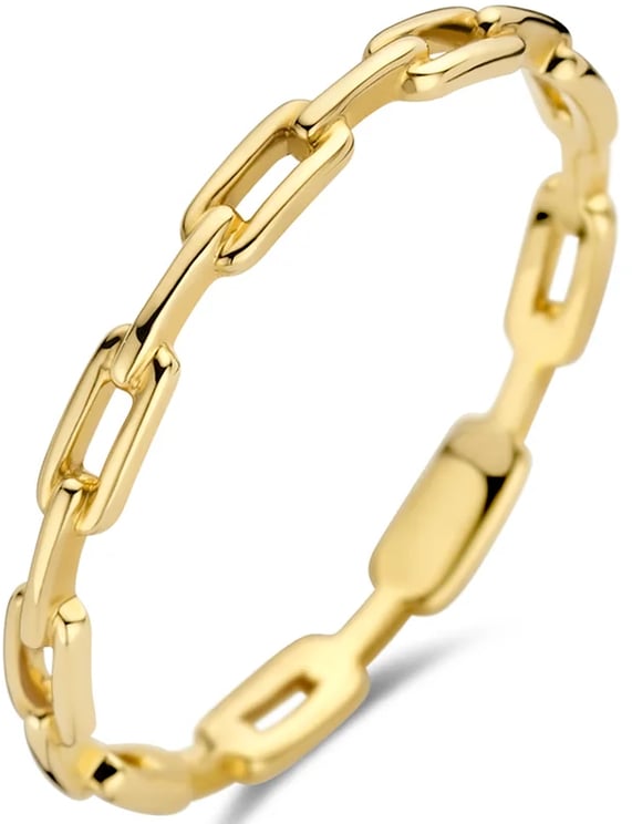 Blush Blush Ring 1230YGO/54 14k Geelgoud Closed Forever Maat 54