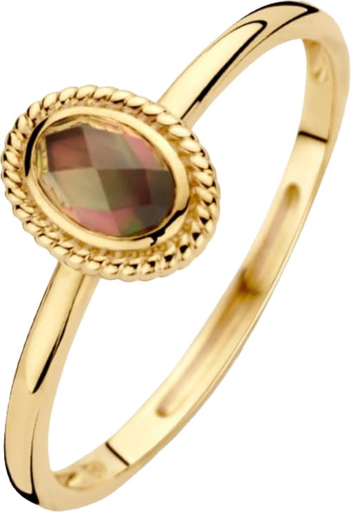 Blush Blush Ring 1239YBQ/54 14k Geelgoud met Quartz Maat 54
