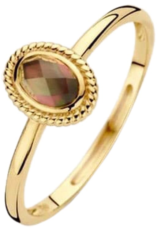 Blush Blush Ring 1239YBQ/56 14k Geelgoud met Parelmoer en Pure Quartz Maat 56