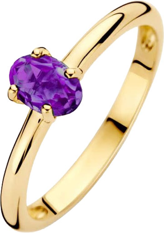 Blush Blush Ring 1242YAM/54 14k Geelgoud met Amethyst Maat 54