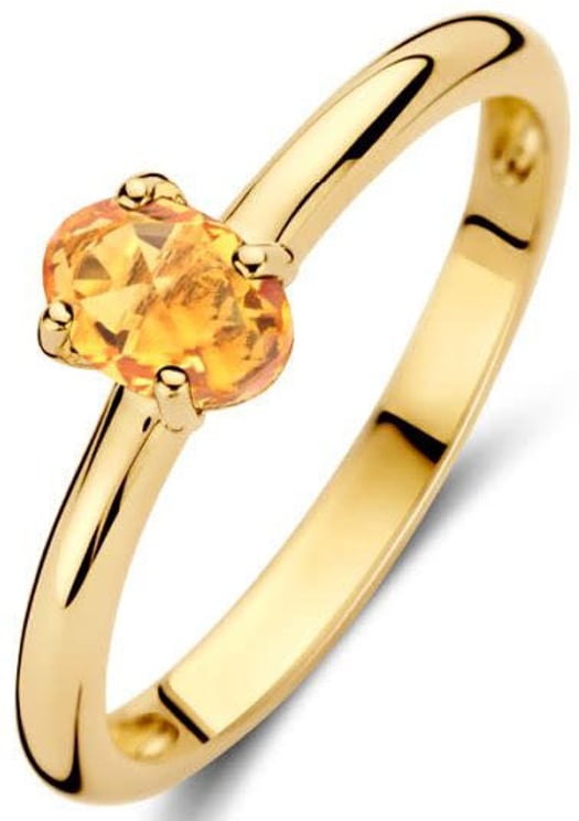 Blush Blush Ring 1242YCI/54 14k Geelgoud met Citrine Maat 54