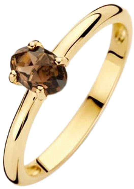 Blush Blush Ring 1242YSQ/56 14k Geelgoud met Smokey Quartz Maat 56
