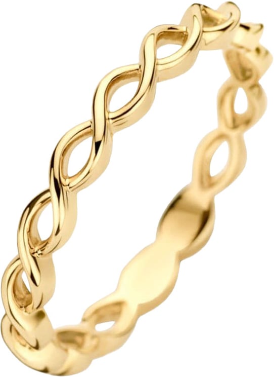 Blush Blush Ring 1245YGO/54 14k Geelgoud Gevlochten Maat 54