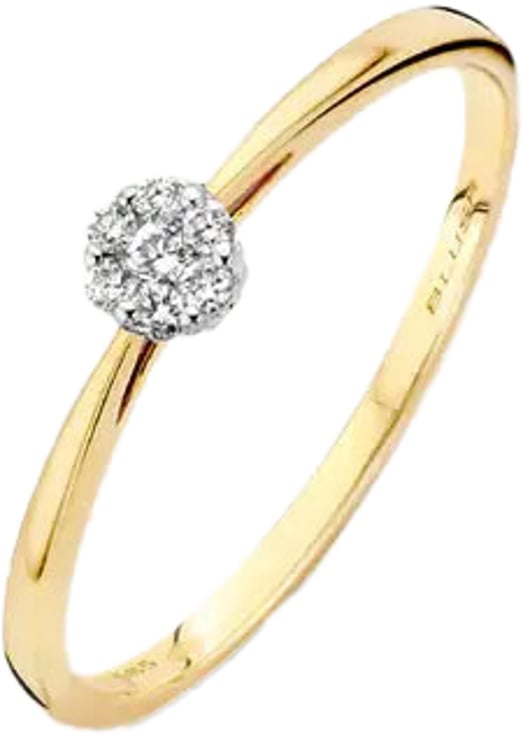 Blush Blush Ring 1609BDI/58 14k Geelgoud 0.07ct G SI Briljant geslepen Diamant Maat 58