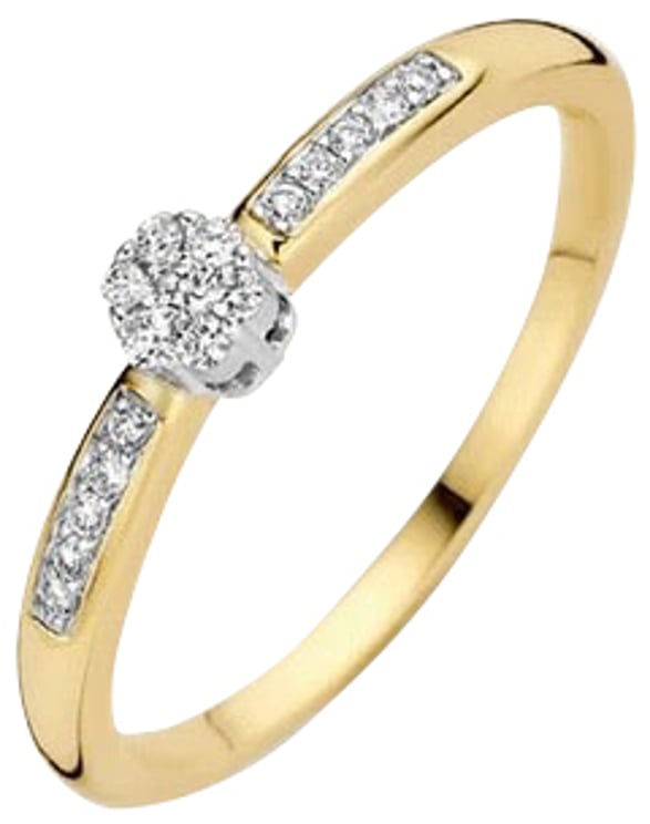 Blush Blush Ring 1625BDI/54 14k Geelgoud 0,12crt G SI Briljant geslepen Diamant Maat 54