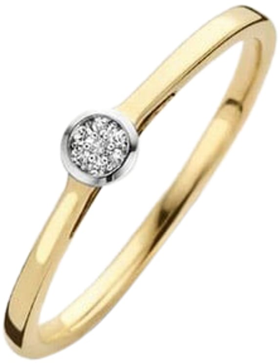 Blush Blush Ring 1653BDI/54 14kt Geelgoud 0,06crt G SI Briljant geslepen Diamant Maat 54