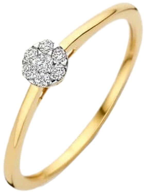 Blush Blush Ring 1680BDI/54 14k Geelgoud met H SI Briljant geslepen Diamant Maat 54