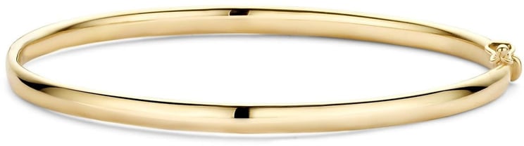Blush Blush Armband 2155YGO Bangle 14k Geelgoud 4mm Maat 60