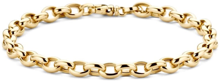 Blush 2162YGO Armband 14 krt geelgoud