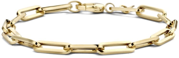 Blush 2172YGO Armband 14 krt geelgoud