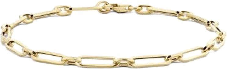 Blush Blush Armband 2189YGO 14k Geelgoud Forever Closed 18.5cm