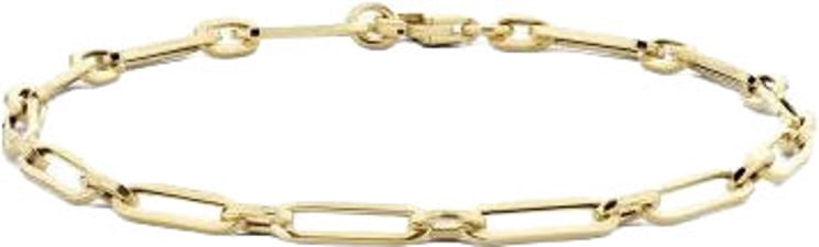 Blush Blush Armband 2189YGO 14k Geelgoud Forever Closed 18.5cm