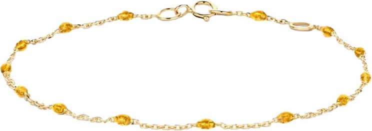 Blush Blush Armband 2226YRC 14k Geelgoud met Oranje Resin 16.5 - 18.5cm