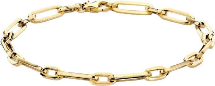 Blush Blush Armband 2251YGO 14k Geelgoud Closed Forever Armband