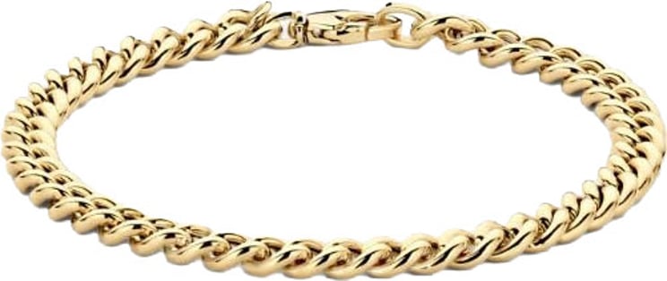 Blush Blush Armband 2262YGO 14k Geelgoud Gourmette Schakel 5.3mm x 18.5cm