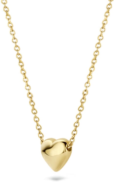 Blush Blush Collier 3062YGO 14k Geelgoud met Hart Hanger 42cm