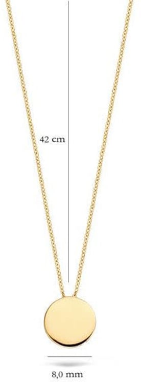 Blush Blush Collier met Hanger 3088YGO 14k Geelgoud Rond 42cm