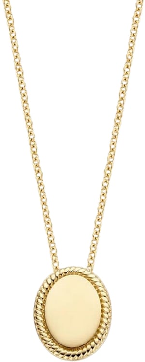 Blush Blush Collier 3123YGO 14 k Geelgoud  met Ovale Gladde Hanger 42cm